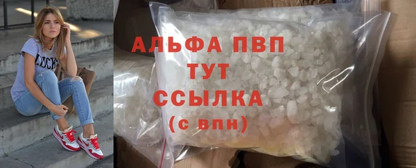 стаф Белоозёрский