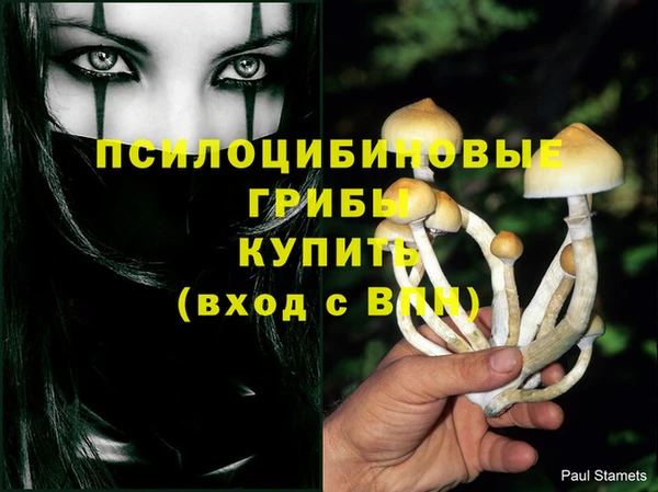 стаф Белоозёрский