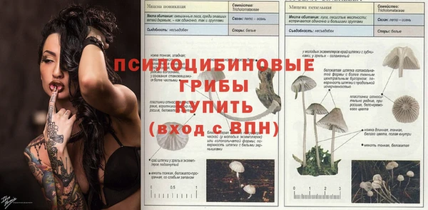 метамфетамин Белокуриха