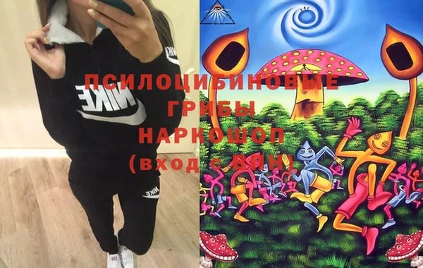 стаф Белоозёрский