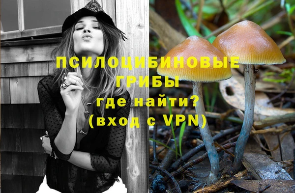 стаф Белоозёрский