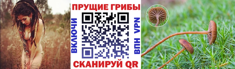 OMG зеркало  где купить наркоту  Волжск  Галлюциногенные грибы мухоморы 