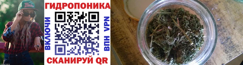MEGA онион  Волжск  Бошки марихуана индика 